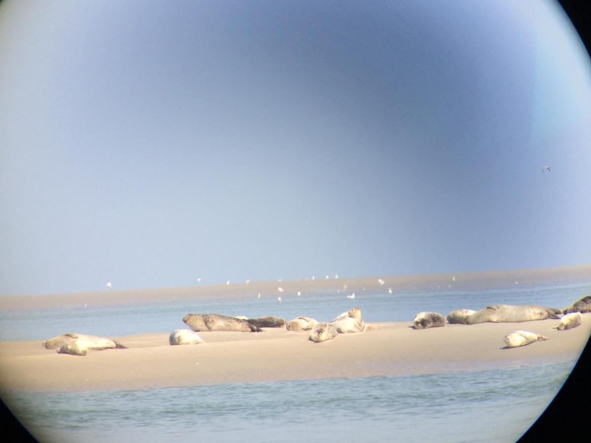 Villa St Laurent Criel-sur-Mer Luaran gambar